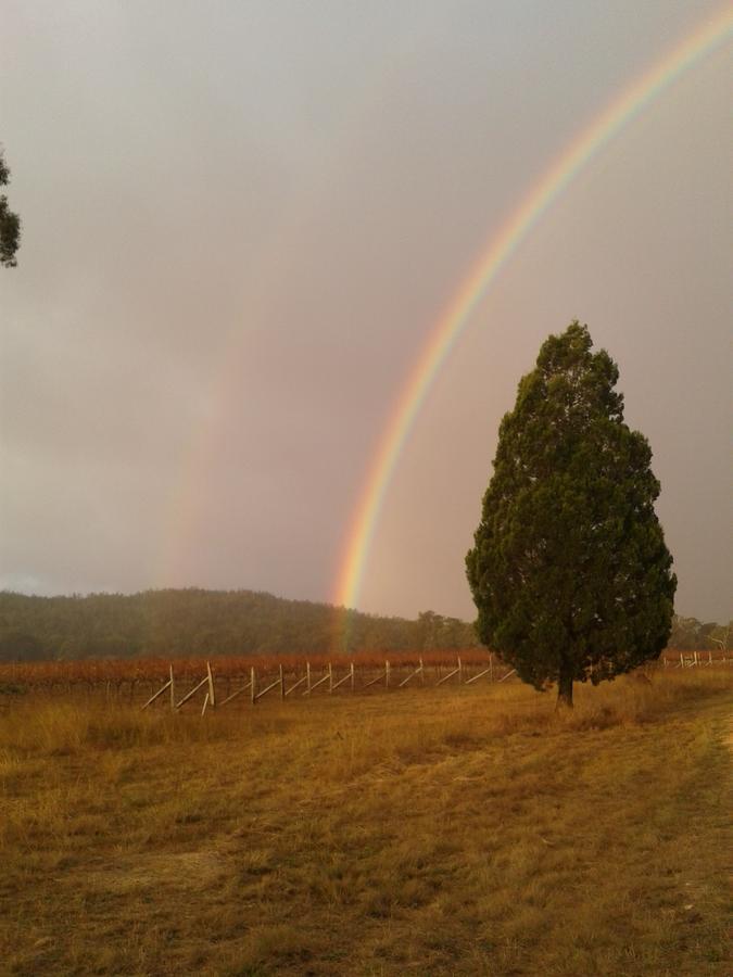 Whiskey Gully Wines Villa Stanthorpe Eksteriør billede