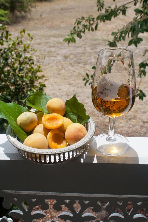 Whiskey Gully Wines Villa Stanthorpe Eksteriør billede